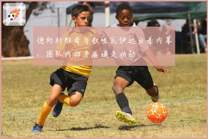 德约科维奇与教练瓦伊达分手内幕,团队内部矛盾逼走功勋